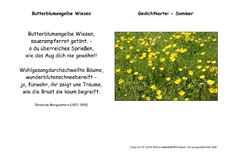 Butterblumengelbe-Wiesen-Morgenstern.pdf